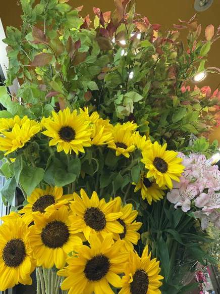 東京都品川区の花屋 吉花園にフラワーギフトはお任せください 当店は 安心と信頼の花キューピット加盟店です 花キューピットタウン